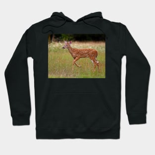 Fawn and Free - White-tailed Deer Hoodie